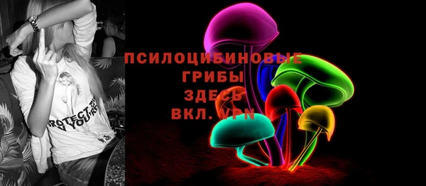 дурь Сатка