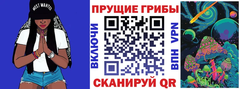 Псилоцибиновые грибы Magic Shrooms  купить наркоту  Лагань 